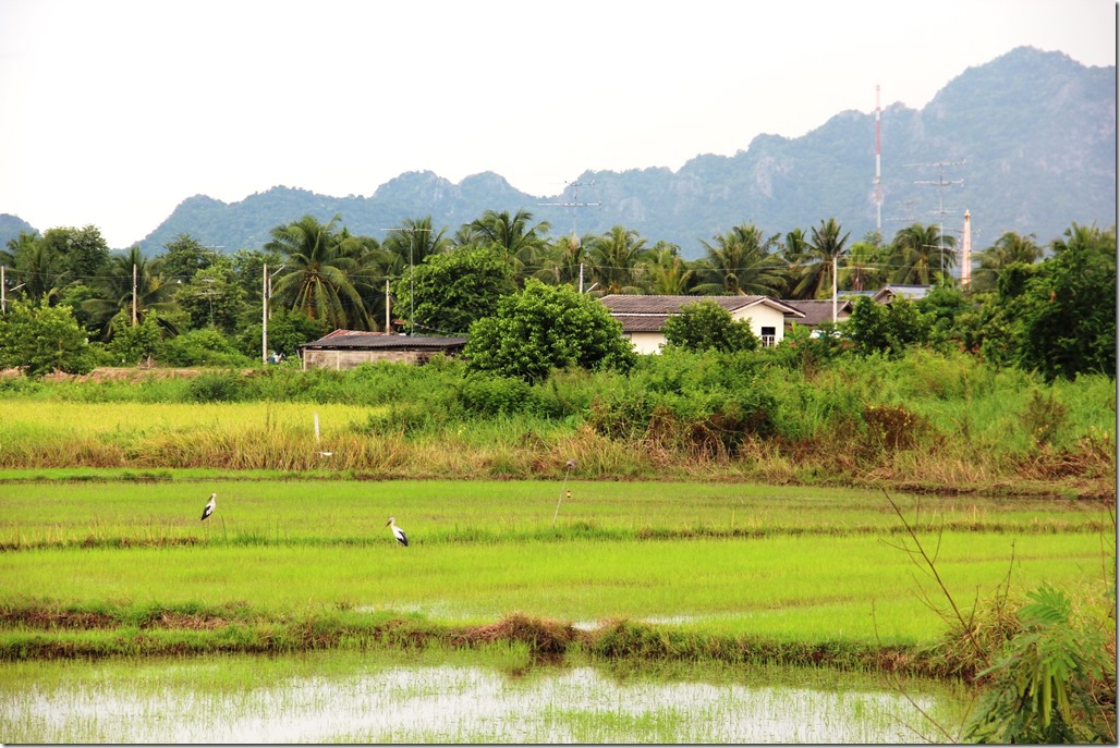 2012_09_15 Thailand Hua Hin Countryside (3)