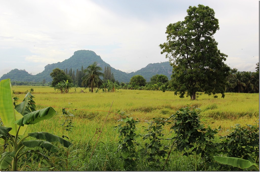 2012_09_15 Thailand Hua Hin Countryside (5)