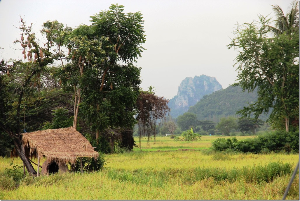 2012_09_15 Thailand Hua Hin Countryside (6)