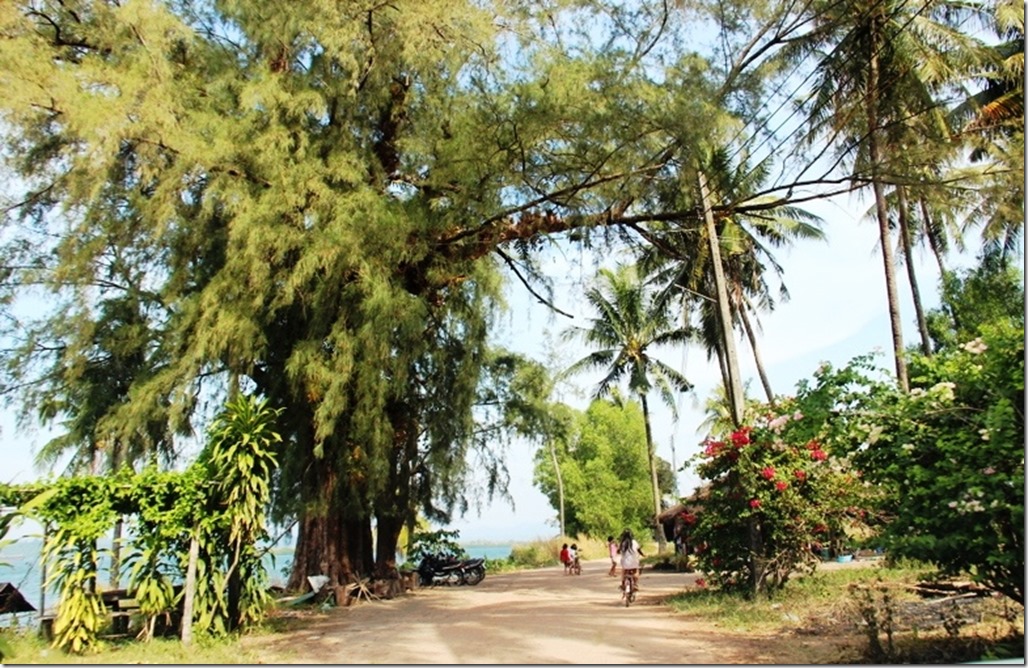 2013_01_01 Cambodia Koh Kong (12)