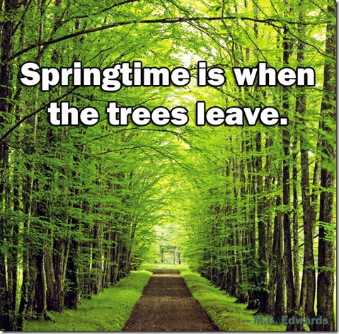 trees trees