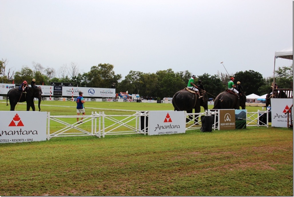 2012_09_06 Thailand Hua Hin Elephant Polo (10)