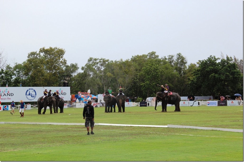 2012_09_06 Thailand Hua Hin Elephant Polo (11)