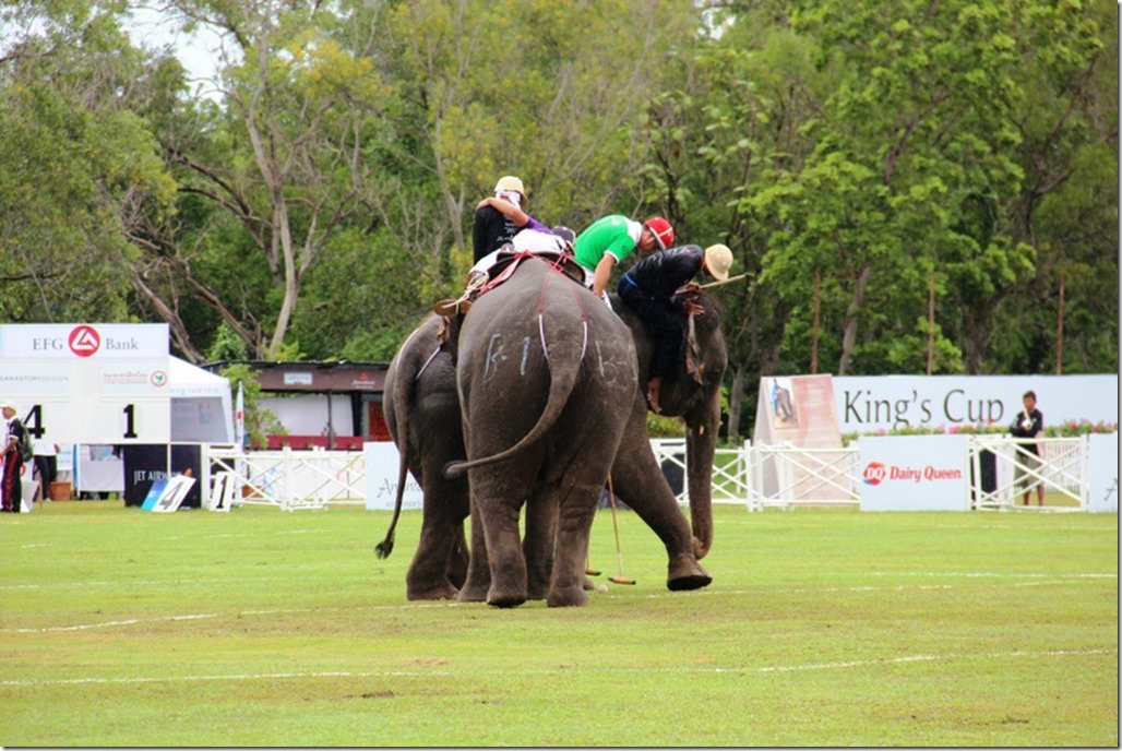 2012_09_06 Thailand Hua Hin Elephant Polo (12)