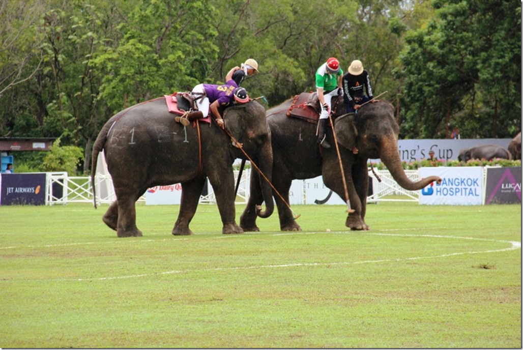 2012_09_06 Thailand Hua Hin Elephant Polo (13)