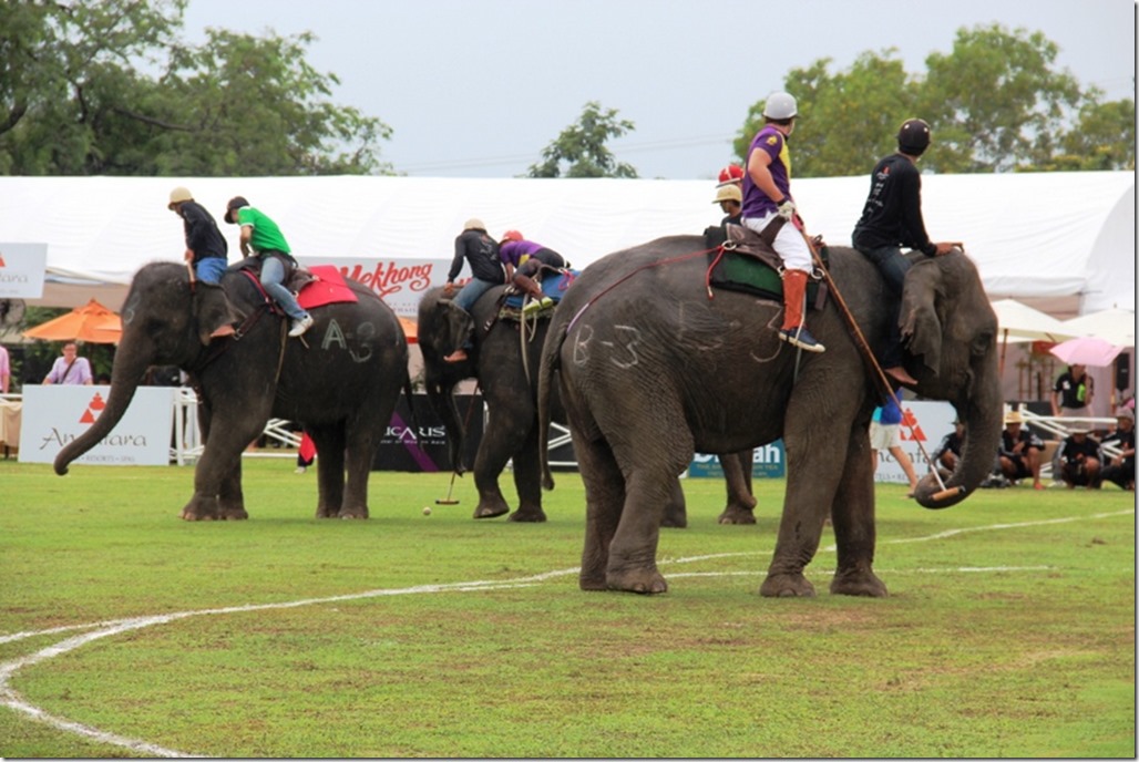 2012_09_06 Thailand Hua Hin Elephant Polo (15)