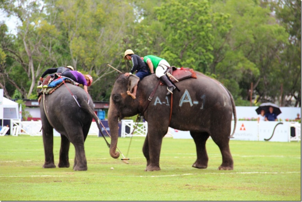 2012_09_06 Thailand Hua Hin Elephant Polo (16)