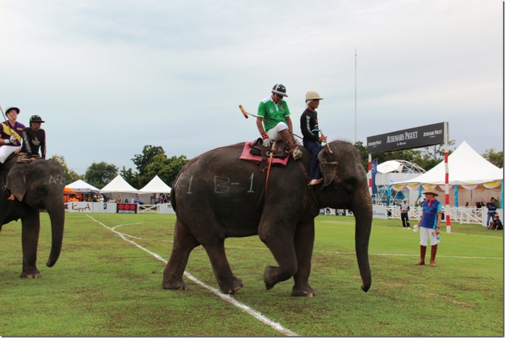 2012_09_06 Thailand Hua Hin Elephant Polo (18)