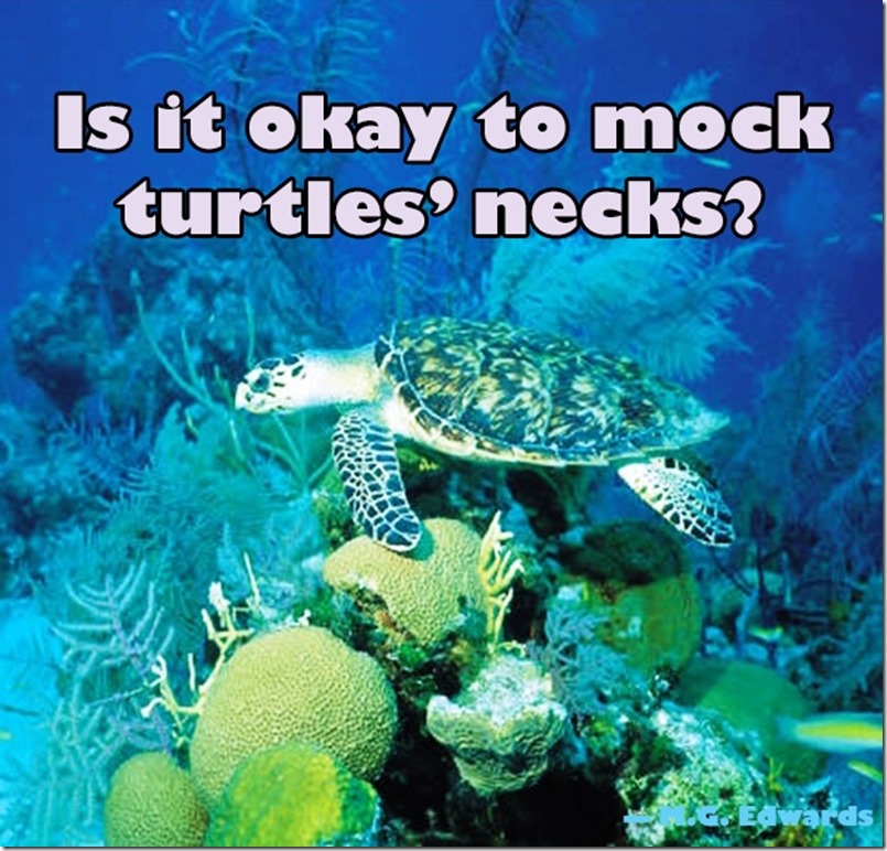 turtle turtle