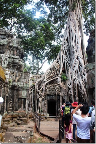 2012_12_27 Cambodia Angkor Te Prohm (2)