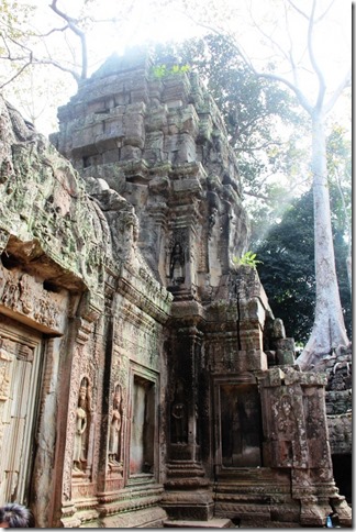 2012_12_27 Cambodia Angkor Te Prohm (4)