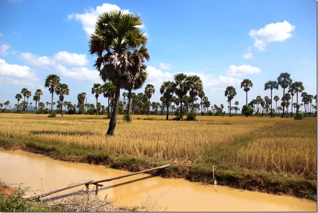 2012_12_27 Cambodia Countryside