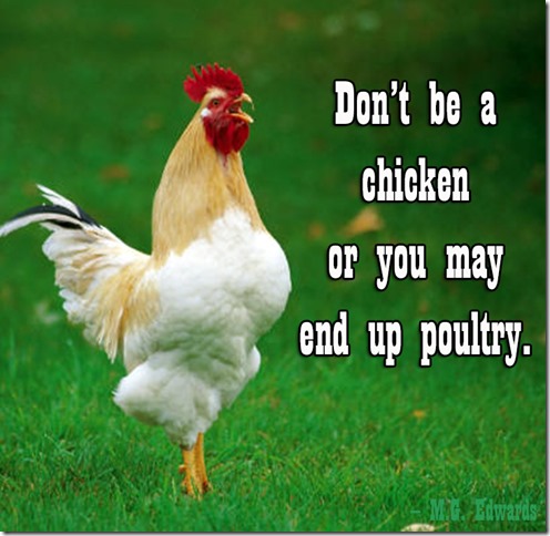 poultry