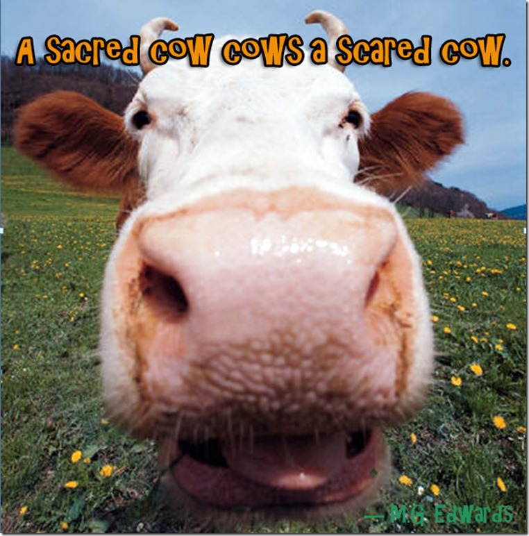 cow