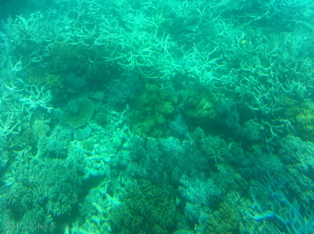 Great Barrier Reef